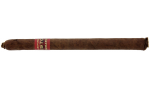 Kristoff Sumatra Lancero